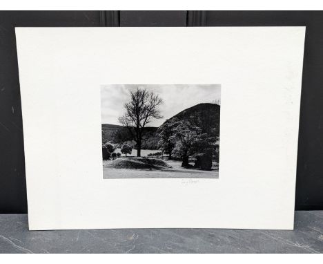 FAY GODWIN (PHOTOGRAPHER 1931-2005):&nbsp;'Abbeycwmhir (Drover's Roads, Wales)': gelatin silver print, approx 14.5 x 17.5cm, 