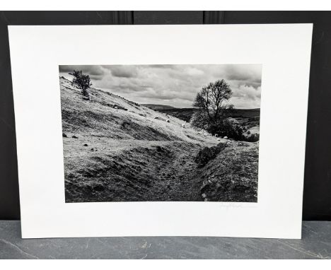 FAY GODWIN (PHOTOGRAPHER 1931-2005):&nbsp;'Aberedw Hill, Ruins with Sheep (Drover's Roads, Wales)': gelatin silver print, 20 