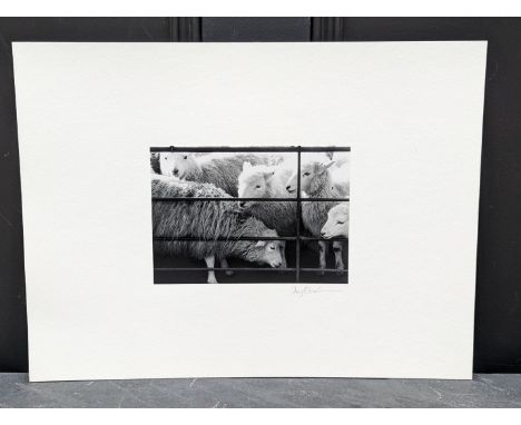 FAY GODWIN (PHOTOGRAPHER 1931-2005):&nbsp;'Builth Wells Market': gelatin silver print, 12.5 x 18cm, mounted on card, signed b