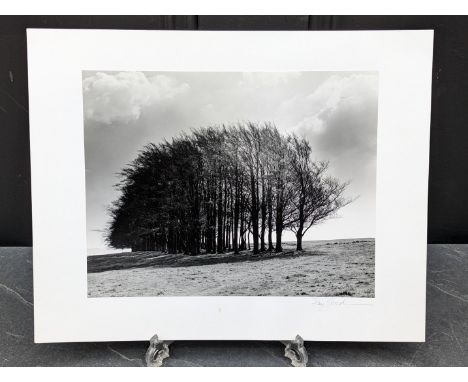 FAY GODWIN (PHOTOGRAPHER 1931-2005):&nbsp;'Barbary Castle Chimp (Spring)': gelatin silver print, 17.5 x 22.5cm, mounted on ca