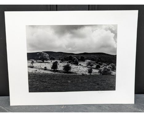 FAY GODWIN (PHOTOGRAPHER 1931-2005):&nbsp;'Sheep Fold, Llanbedr Hill, (Drover's Roads, Wales)': gelatin silver print, 21.5 x 