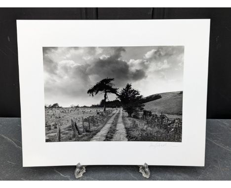 FAY GODWIN (PHOTOGRAPHER 1931-2005):&nbsp;'Roman Road, Ceiriog': gelatin silver print, 16 x 22.5cm, mounted on card, signed b