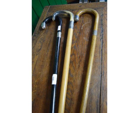 Three Walking Stick with Silver Ferrules