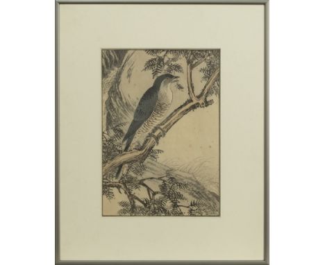 IMAO KEINEN, BIRD, Japanese woodblock print, image 32cm x 33cm Framed and under glass
