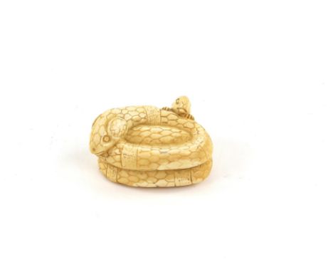 A Japanese Netsuke , Meiji PeriodCarved Ivory in shape of Snake with a mouse , 2.2 X 4.1 cm Comes with a Dutch certificate of