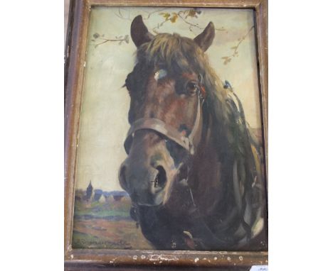 Josef Schroeder-Schonberg (1896-1948) signed oil on canvas portrait of a Heavy Horse, 16 1/2" x 12" 