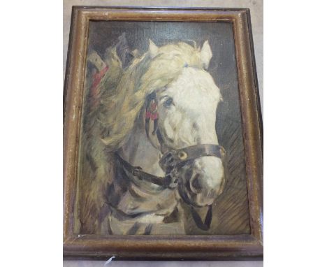 Josef Schroeder-Schonberg (1896-1948) signed oil on canvas portrait of a pony's head, 16 1/2" x 12"
