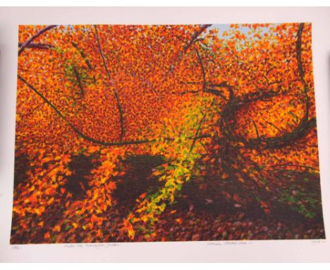 AR Norman Stevens, ARA, (1937-1988) "Fallen tree, Kensington Garden" coloured lithograph, signed, dated 1988, numbered 26/10