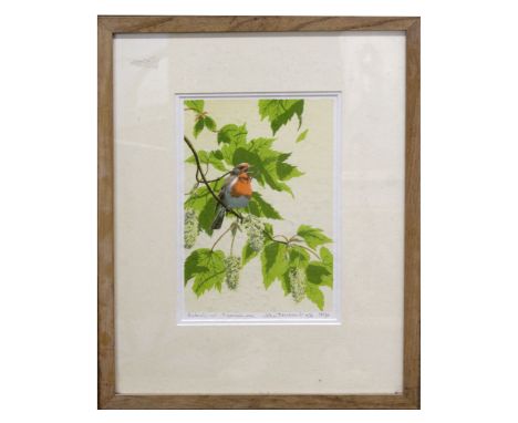  AR John Tennent (born 1926)  "Robin in Sycamore" coloured lithograph, signed, dated 1976, numbered 35/90 and inscribed with 