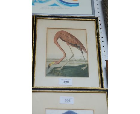 After John James Audubon: a print, study of a flamingo, in Hogarth frame, five other similar studies, and an overpainted phot