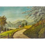 A.Roi Alpenlandschaft im Frühling