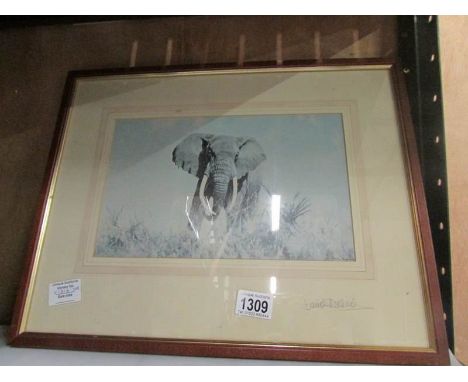 A signed David Shepherd print of a Bull elephant