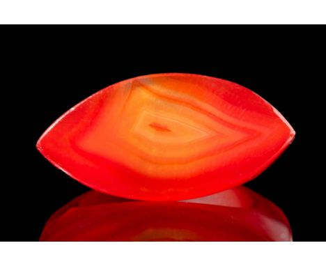 New Kingdom, Ca. 1550 - 1069 BC. A D-shaped carnelian ring with a broad, flat bezel of elongated shape, tapering to pointed e
