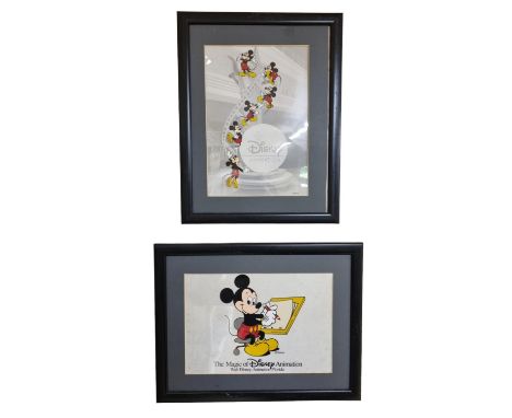 Disney: 2 The Magic of Disney Animation Framed Pictures 