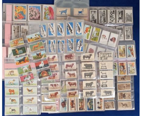 Cigarette &amp; trade cards, Animals, Wildlife &amp; Nature, a collection of 21 sets including Major Drapkin &amp; Co, Dogs &