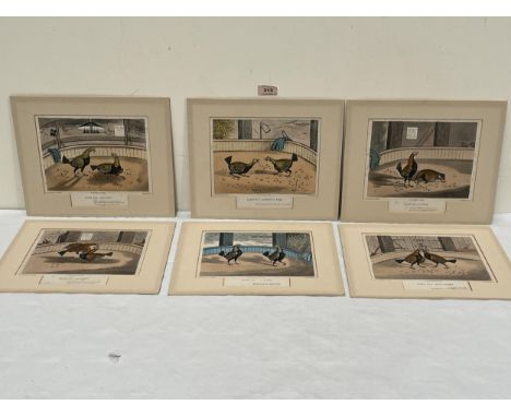 AFTER C. R. STOCK.Cock Fighting. A set of six mounted engravings. 8" x 8½".