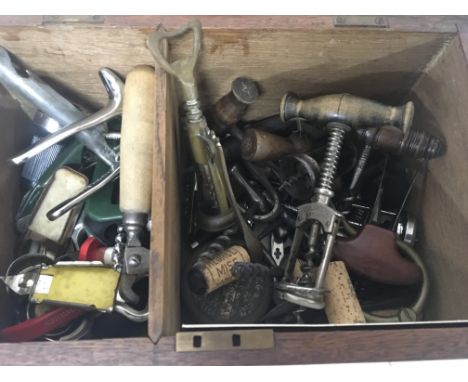 An oak box containing a quantity of Vintage and later cork screws.
