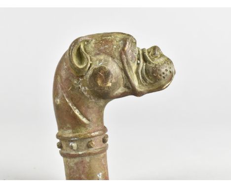 A Modern Bronze Novelty Walking Stick Handle in the Form of a Dogs Head, 7cms High