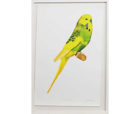 * DIANE S DAWSON, PET SHOP BOYS NO. 2 limited edition lithograph on paper, signed, titled and numbered 1/6mounted, framed and
