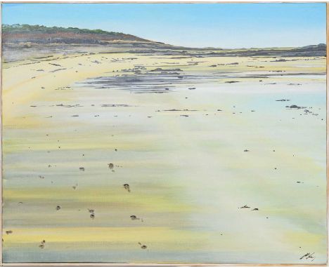 * ALLISON YOUNG, FOOTPRINTS, YELLOWCRAIGS acrylic on canvas, signed, titiled versoframedimage size 40cm x 50cm, overall size 