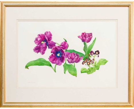 * ELSPETH HARRIGAN (SCOTTISH 1938 - 1999), PURPLE TULIPS watercolour on paper, signed, titled versomounted, framed and under 