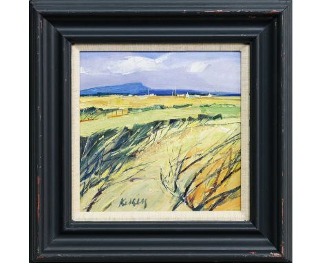 * ROBERT KELSEY DA MUniv PAI FRSA (SCOTTISH b. 1949), ISLAND LANDSCAPE oil on board, signed, titled label versoframed and und