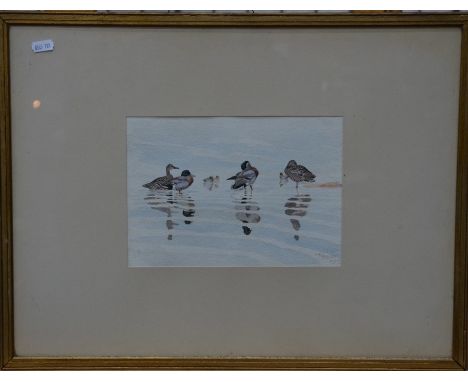 Peter Scott (1909-1989) - Ducks standing in the shallows, watercolour, signed and dated 1929, 17 x 24 cmProv: By repute Peter
