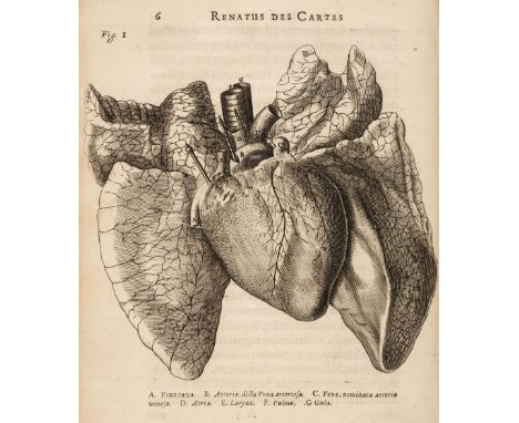 Descartes (René). De Homine figuris et Latinitate donatus a Florentio Schuyl, inclytae urbis Sylvae Ducis Senatore, &amp; Ibi