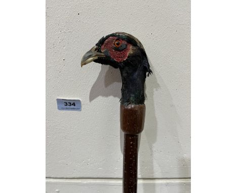 A hazel walking stick, with taxidermy pheasant head pommel. 50½' long