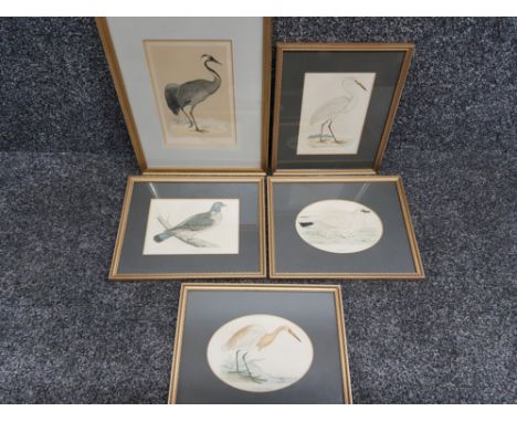 5 framed bird prints, Heron, Crane &amp; wood Pigeon etc