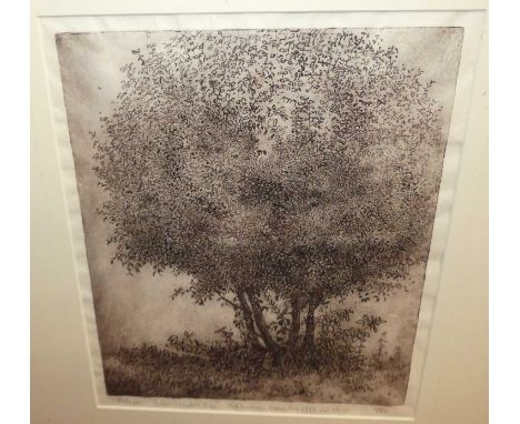 Assorted pictures and prints, to include 19th century French engraving, later French colour engraving, portrait engravings, c