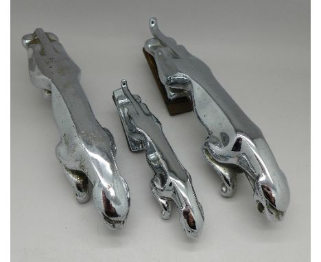 Two Jaguar car mascots (large and small) and one other similar car mascot (3)
