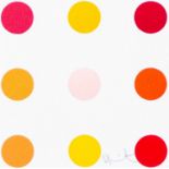 Damien Hirst (1965 Bristol – lebt in London)