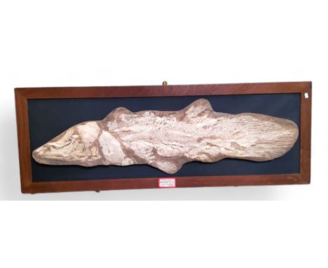 Natural History - a substantial fossil cast, plaque marked 'Coela Canth AXELRODICHTHYS Lower (Cretaceous), Brazil', 47c, x 12