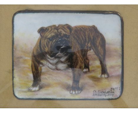 John William Bailey (1831-1914) Ch. Brocidlea, 1908 miniature enamel portrait of a bulldog, framed signed, titled and dated l