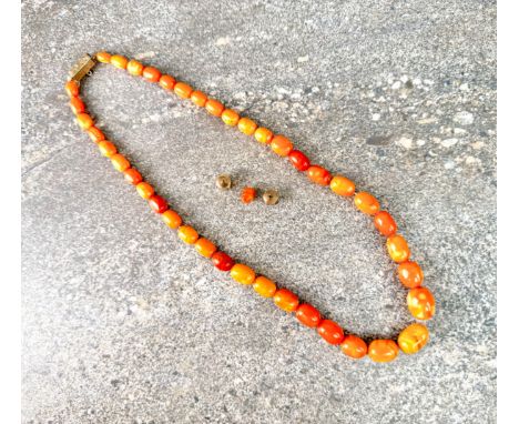 A vintage egg yolk amber necklace - the ovoid beads graduating from 9mm to 17.5mm long, with a rolled gold hexagonal box clas