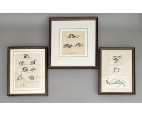 Eileen Soper RMS SWLA (British, 1905-1990) Three studies of badgers, one inscribed Actions of Sow Foraging Through Grass' pen