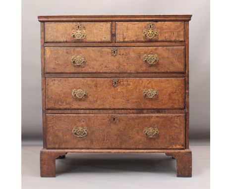 An 18th century and later burr walnut and oak chest of drawers - with two short over three graduated drawers, the later brass