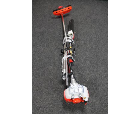 A petrol garden multi tool 