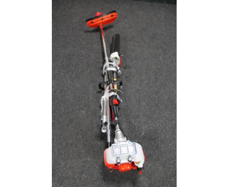A petrol garden multi tool 