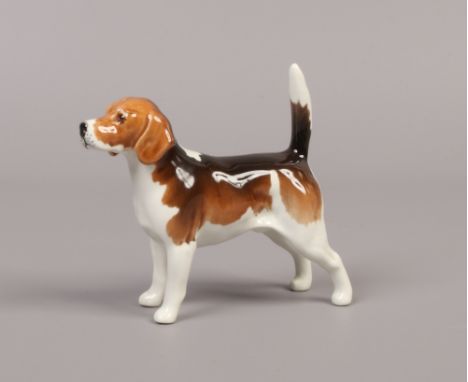 A Beswick ceramic figure of a Beagle, Wendover Billy.