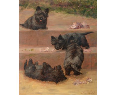 Maud Earl (1864-1943) Scottish Terriers Signed, oil on canvas, 75cm by 62cm See illustration In a fully restored condition. R