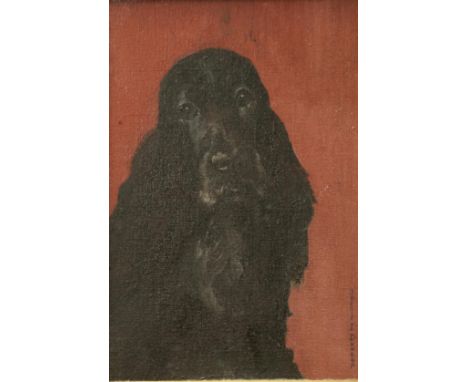 Jessie I Dunlop (1902-1970) Scottish Show Spaniel Signed, oil on canvas, 29.5cm by 19.5cm This lot may be subject to Artist's