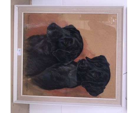 Marjorie Cox (1915-2003): Portrait of two labradors, pastel, signed, H 53 x W 45 cm