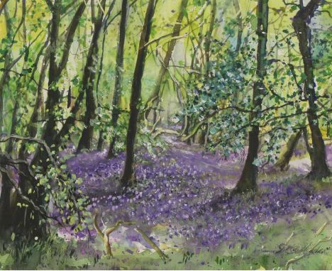 Shirley Keeble 'Wain Wood, Bluebell Glade 2' signed l.r., watercolour and gouache image 28 x 34.5cm framed 45 x 51.5cm Shirle