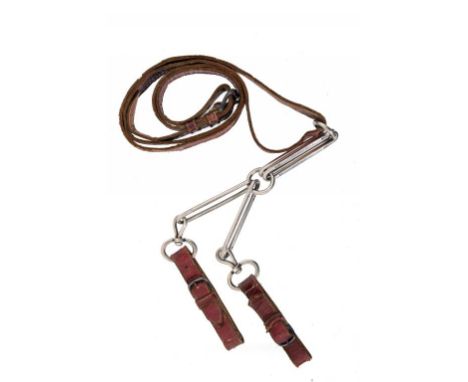 A RARE GEORGE III SILVER AND RED LEATHER DOG BRACE LEASH  with steel buckles, inscribed William Wynne Sparrow Red Hill Beauma