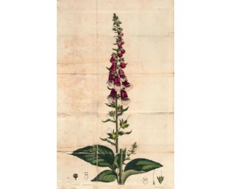 WITHERING (WILLIAM) AN ACCOUNT OF THE FOXGLOVE AND SOME OF ITS MEDICAL USES WITH PRACTICAL REMARKS ON DROPSY AND OTHER DISEAS