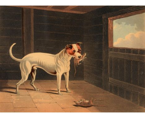 GEORGE HUNT (FL EARLY 19TH C) AFTER J L CLARK (FL EARLY 19TH C) BILLY THE RAT KILLER OF UNRIVALED FAME WHO HAS KILLED 3,800 R