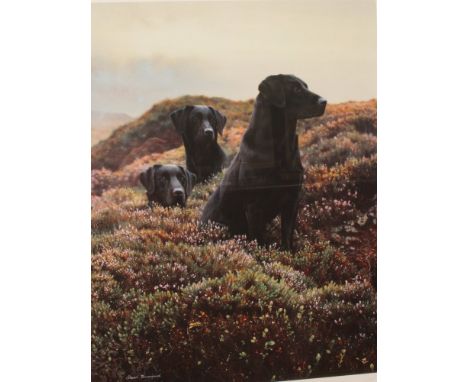 A sealed limited edition print 556/650 signed in pencil by Steven Townsend, 'Three Black Labrador's in Heather'