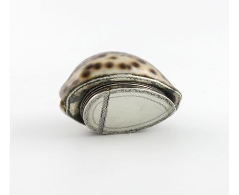 An early 19th century silver-mounted conch shell snuff box, unmarked, the flush-hinged cover with bright-cut decoration, leng